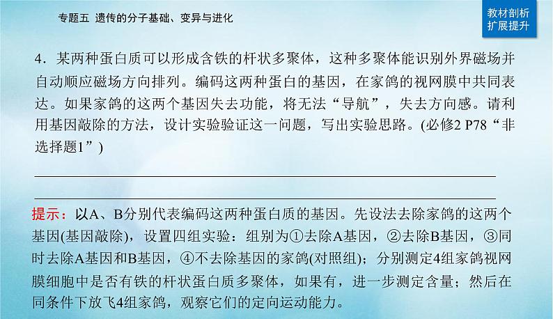 2023届高考生物二轮复习遗传的分子基础课件第6页