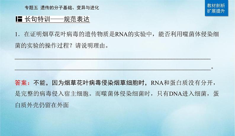2023届高考生物二轮复习遗传的分子基础课件第7页