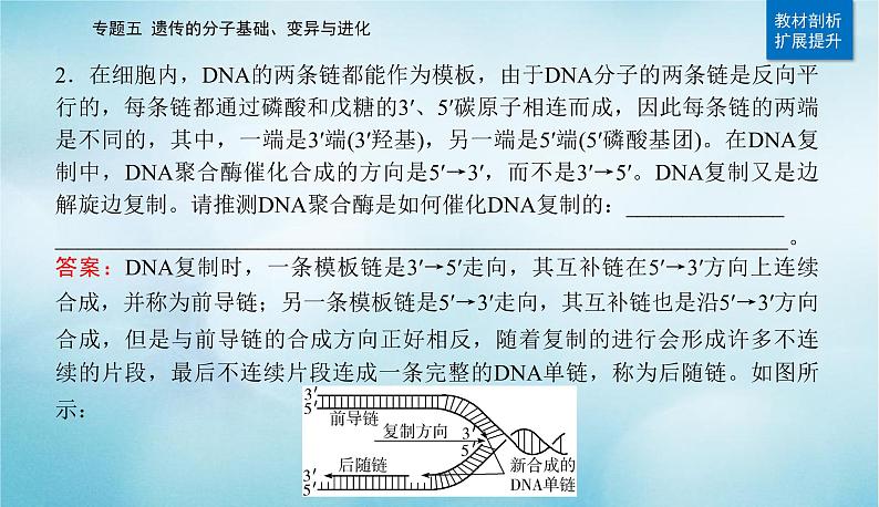 2023届高考生物二轮复习遗传的分子基础课件第8页