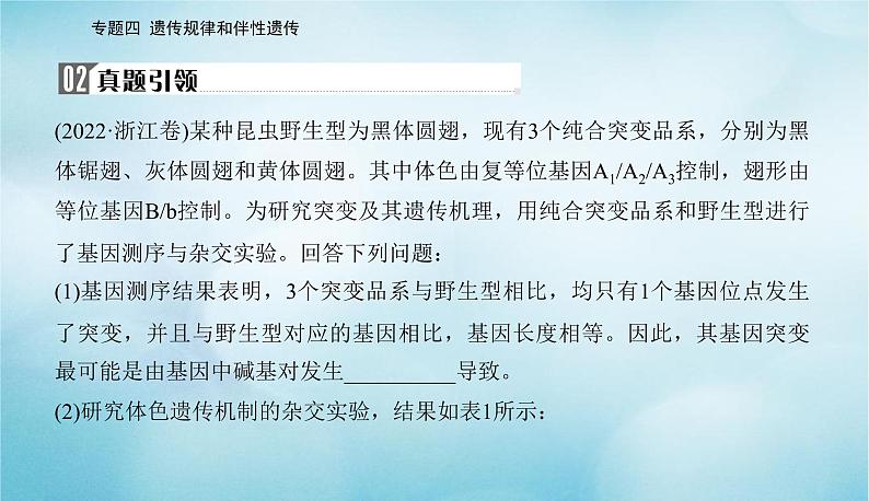 2023届高考生物二轮复习高考命题热点五判断基因的位置课件第5页