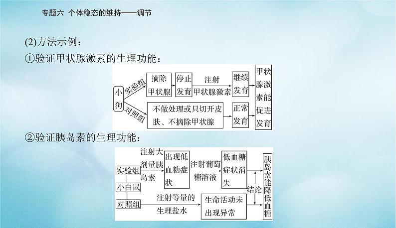 2023届高考生物二轮复习高考命题热点七生命活动调节中的相关实验课件第5页