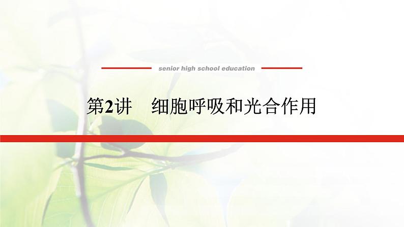 2023届高考生物二轮复习细胞呼吸和光合作用课件01