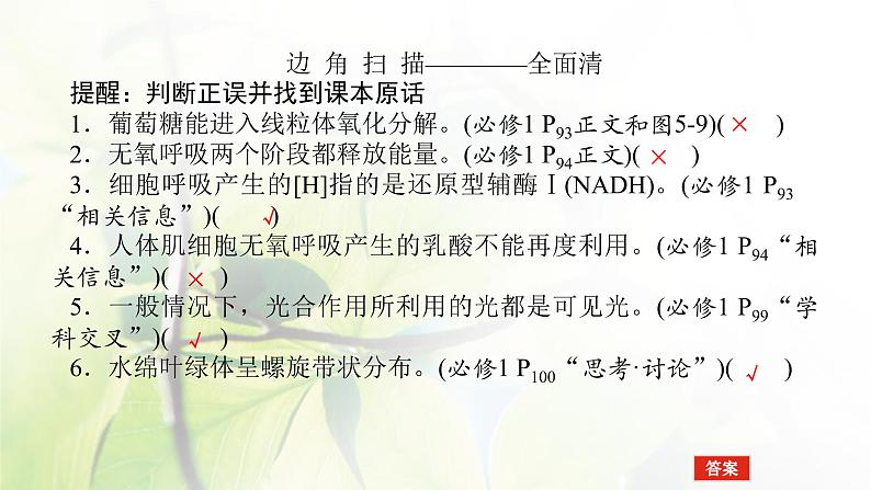 2023届高考生物二轮复习细胞呼吸和光合作用课件05