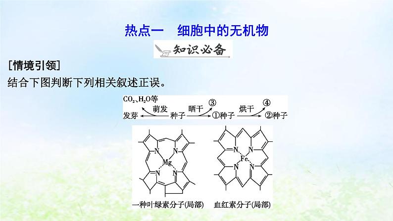 2023届高考生物二轮复习第1讲细胞的分子组成课件第6页