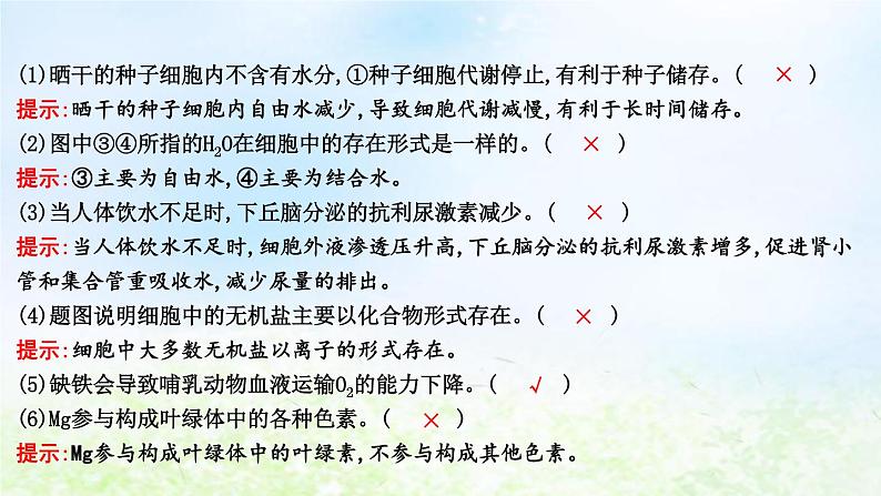 2023届高考生物二轮复习第1讲细胞的分子组成课件第7页