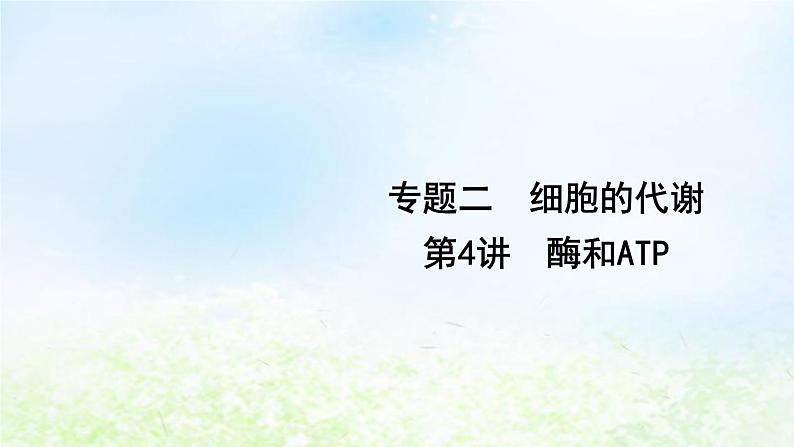 2023届高考生物二轮复习第4讲酶和ATP课件01