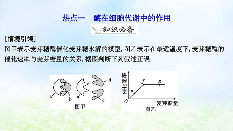 2023届高考生物二轮复习第4讲酶和ATP课件06