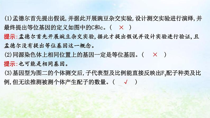2023届高考生物二轮复习第8讲孟德尔遗传规律及其应用课件第7页