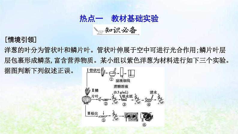 2023届高考生物二轮复习第20讲实验与探究课件06
