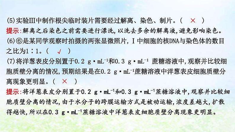 2023届高考生物二轮复习第20讲实验与探究课件08