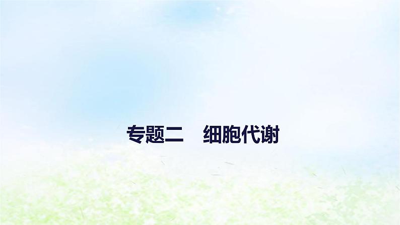 2023届高考生物二轮复习细胞代谢课件第1页