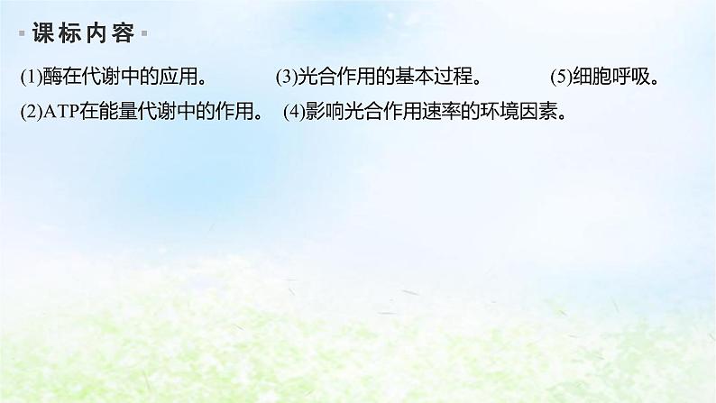 2023届高考生物二轮复习细胞代谢课件第2页