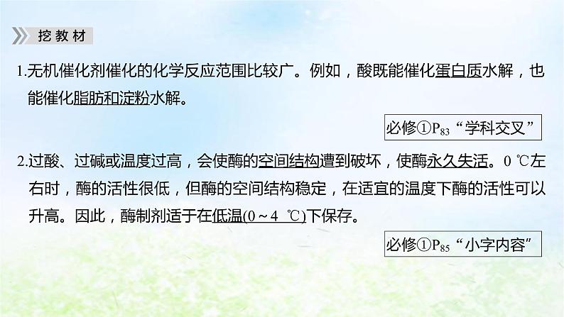 2023届高考生物二轮复习细胞代谢课件第6页