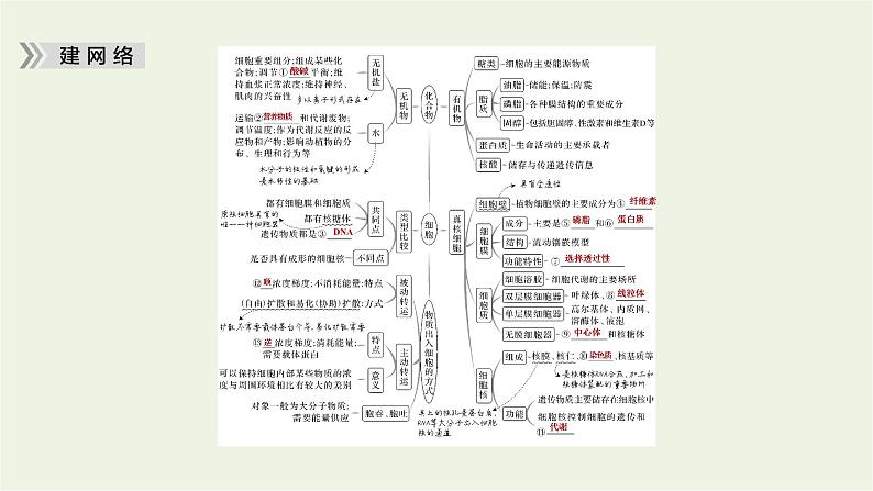 2023届高考生物二轮复习细胞的分子组成、结构和物质运输课件第5页