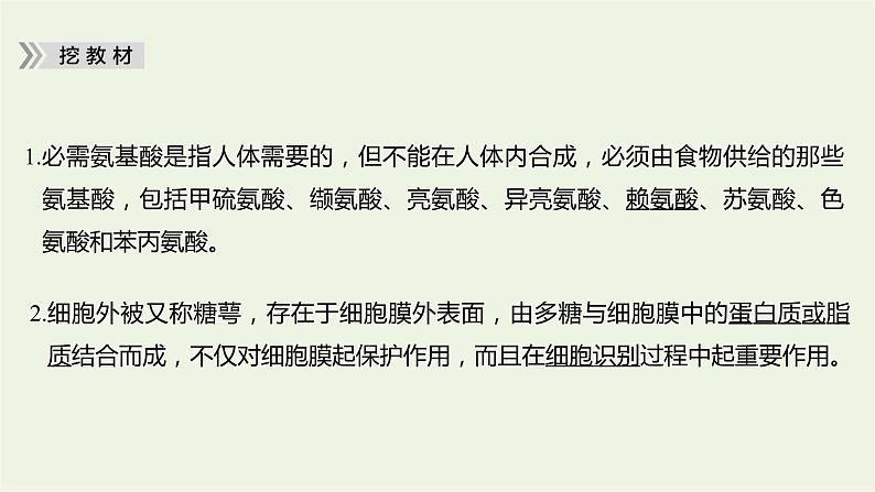 2023届高考生物二轮复习细胞的分子组成、结构和物质运输课件第6页