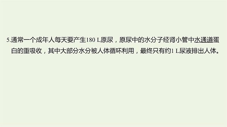 2023届高考生物二轮复习细胞的分子组成、结构和物质运输课件第8页