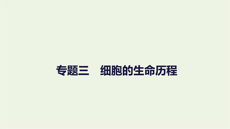 2023届高考生物二轮复习细胞的生命历程课件第1页