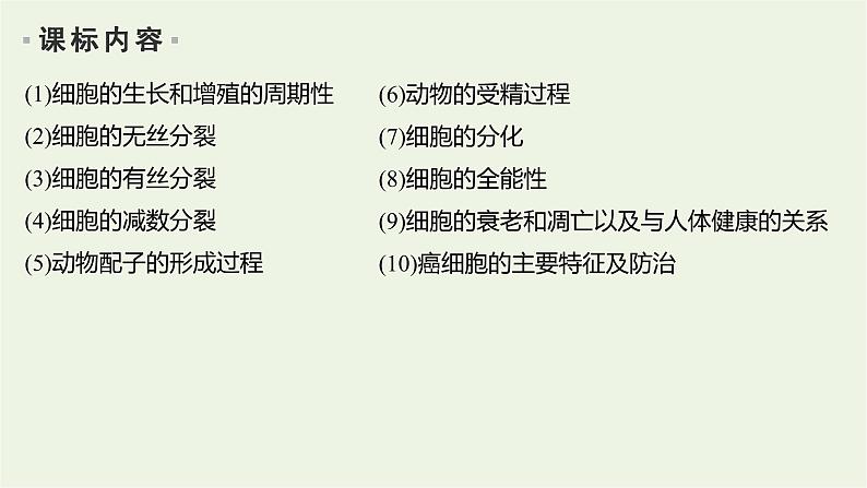 2023届高考生物二轮复习细胞的生命历程课件第2页