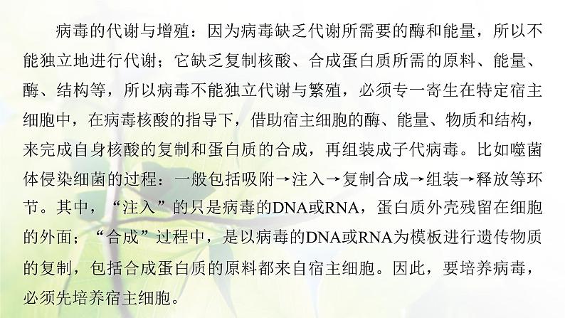 2023届高考生物二轮复习微专题(一)病毒课件第8页