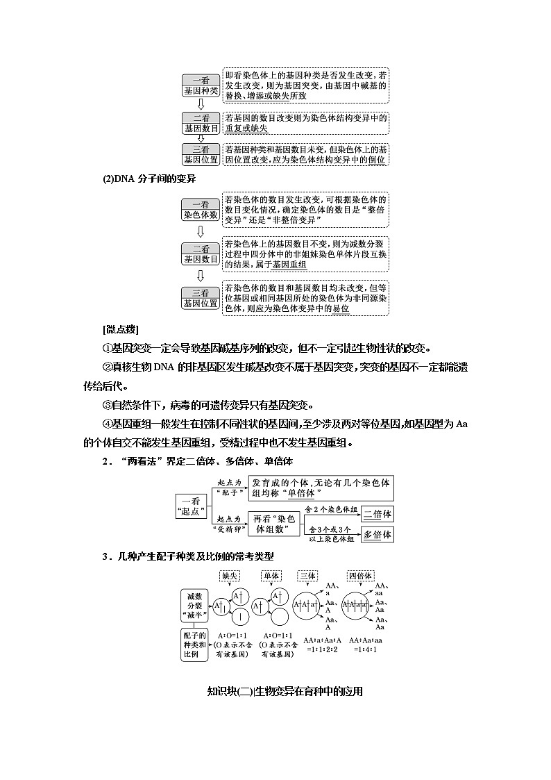 2023届高考生物二轮复习系统大概念(二)——生物的变异与生物的多样性和适应性是进化的结果学案02