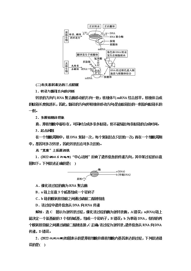 2023届高考生物二轮复习精研重难点(一)遗传信息的传递和表达学案第2页