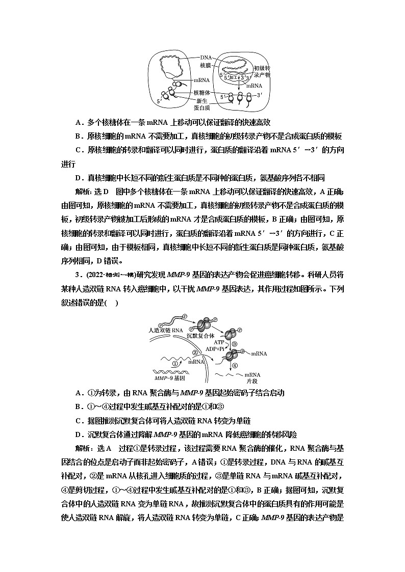 2023届高考生物二轮复习精研重难点(一)遗传信息的传递和表达学案第3页