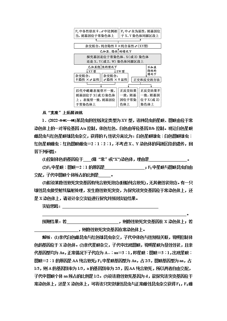 2023届高考生物二轮复习精研重难点(四)通过“模式生物”分析“基因定位”类试题学案第2页