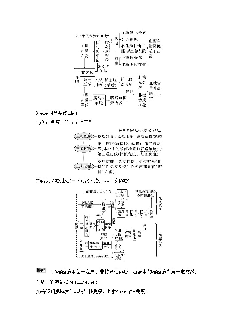 2023届高考生物二轮复习微专题1内环境稳态与免疫调节学案03