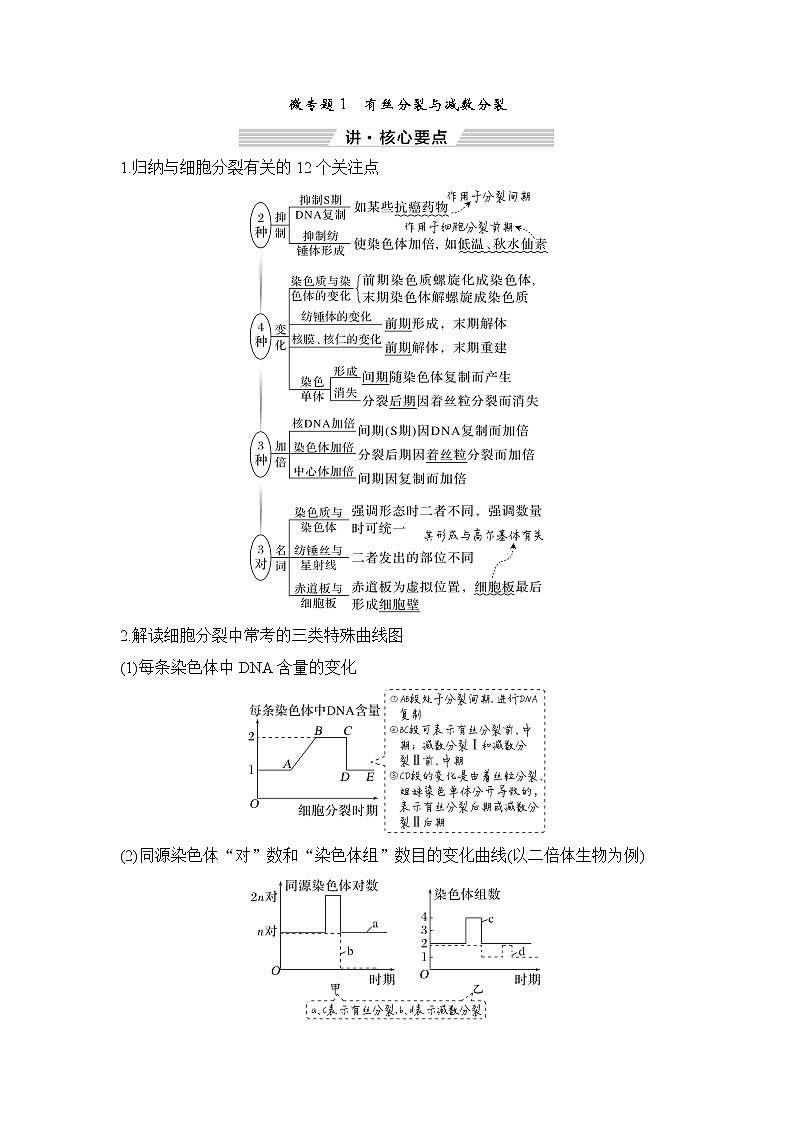 2023届高考生物二轮复习微专题1有丝分裂与减数分裂学案01