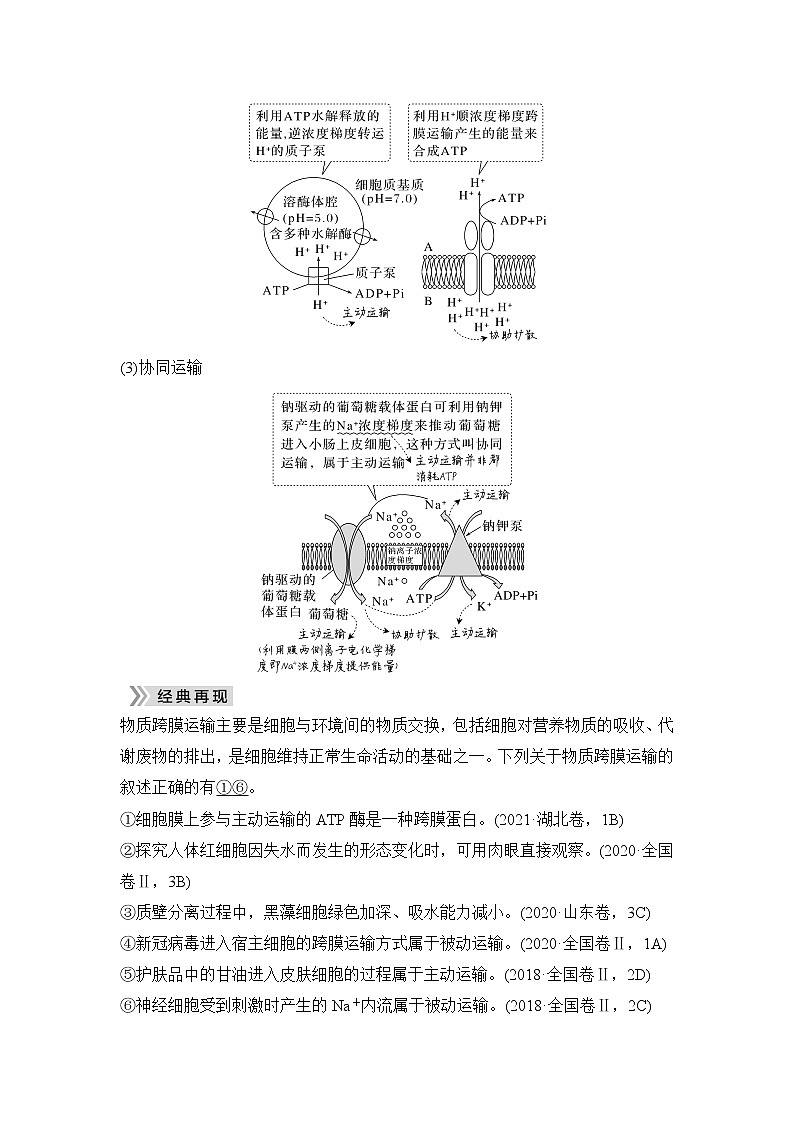 2023届高考生物二轮复习微专题4物质出入细胞的方式学案第3页