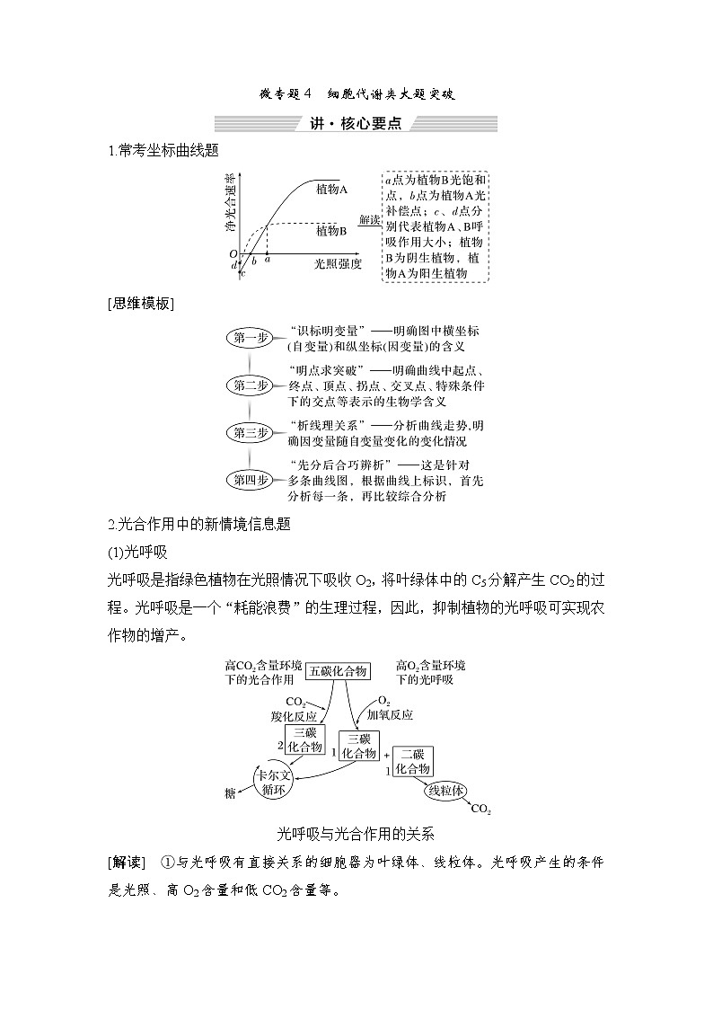 2023屆高考生物二輪復(fù)習(xí)微專題4細(xì)胞代謝類大題突破學(xué)案第1頁