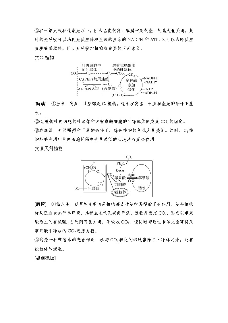 2023屆高考生物二輪復(fù)習(xí)微專題4細(xì)胞代謝類大題突破學(xué)案第2頁