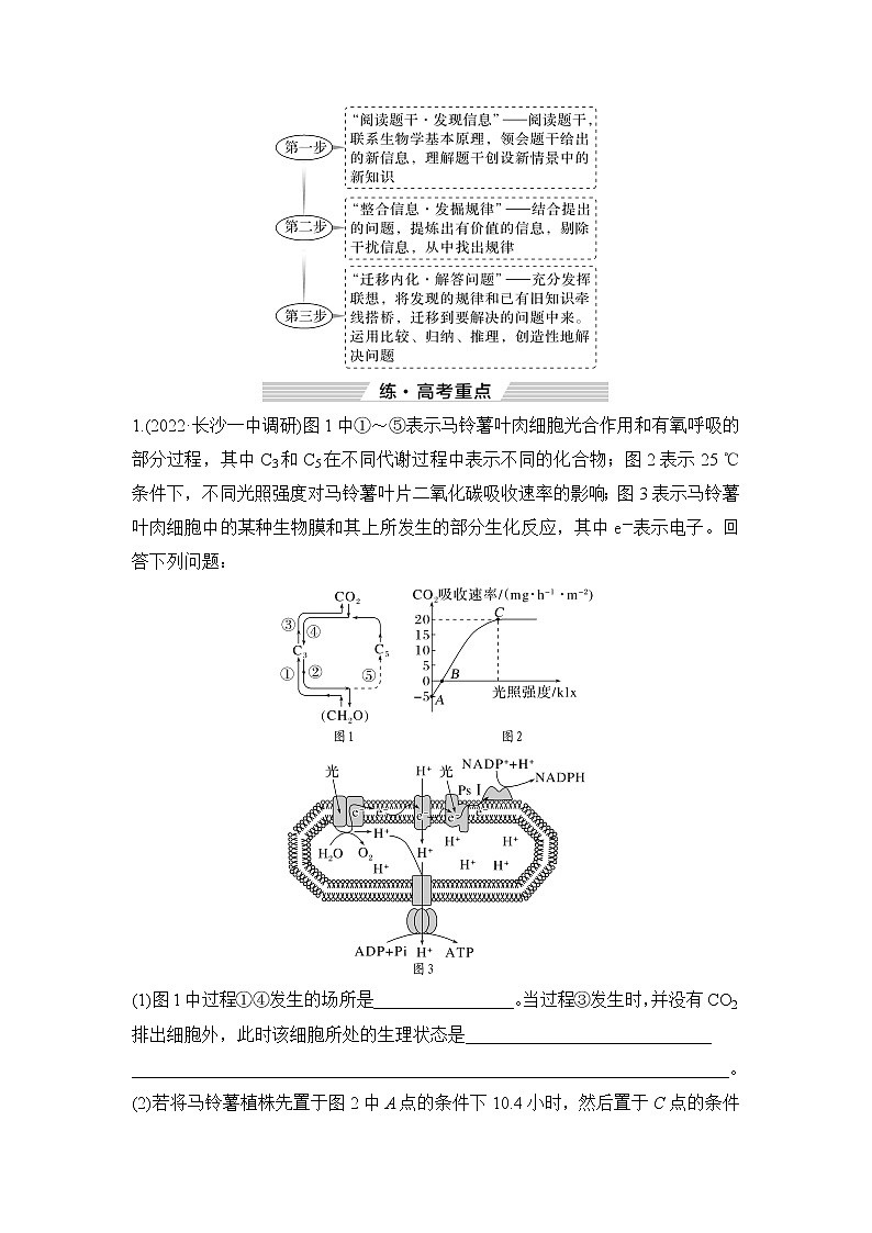 2023屆高考生物二輪復(fù)習(xí)微專題4細(xì)胞代謝類大題突破學(xué)案第3頁