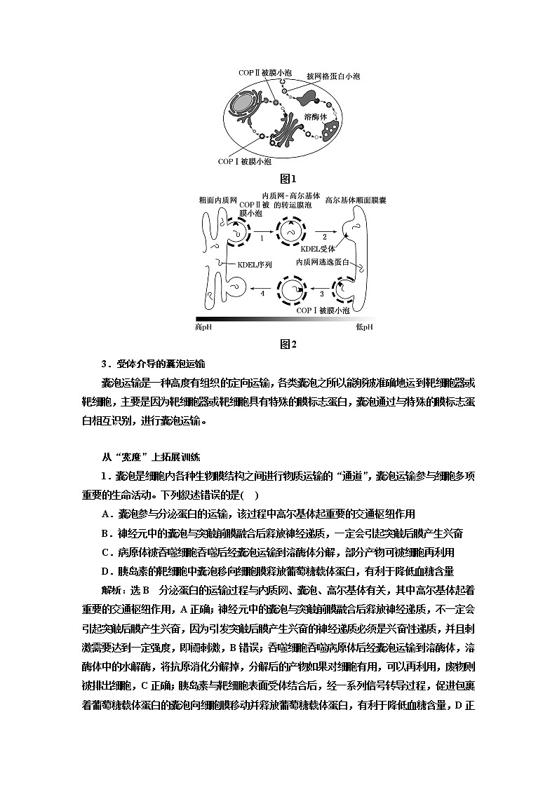 2023届高考生物二轮复习精研重难点(二)厘清蛋白质的分选与囊泡运输学案03