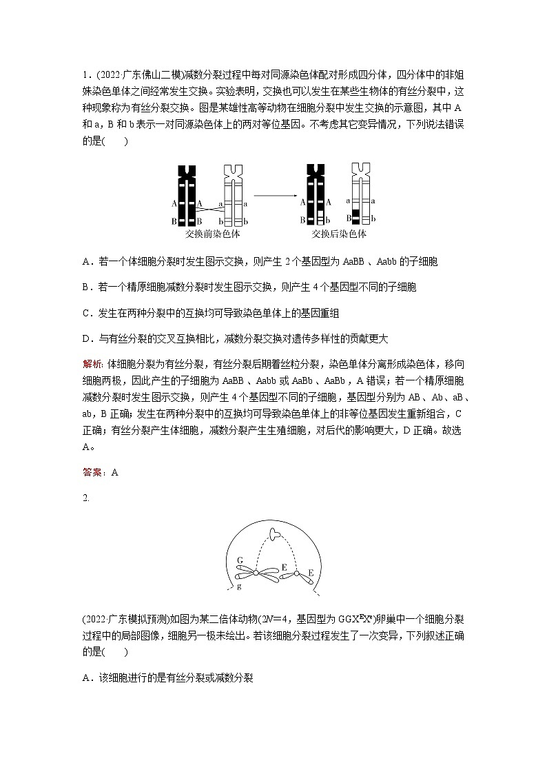 2023届高考生物二轮复习高考命题热点四细胞分裂与可遗传变异的关系学案03