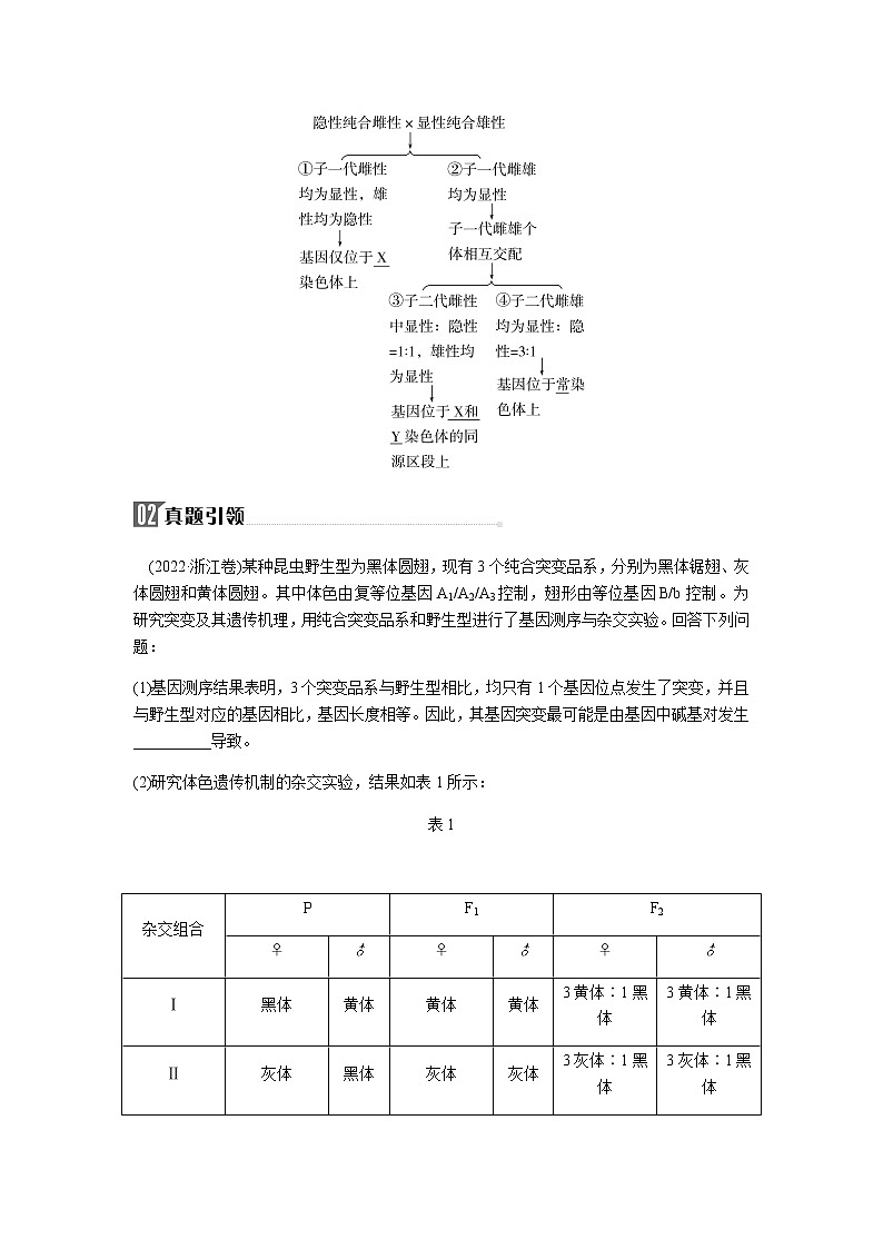 2023届高考生物二轮复习高考命题热点五判断基因的位置学案第2页