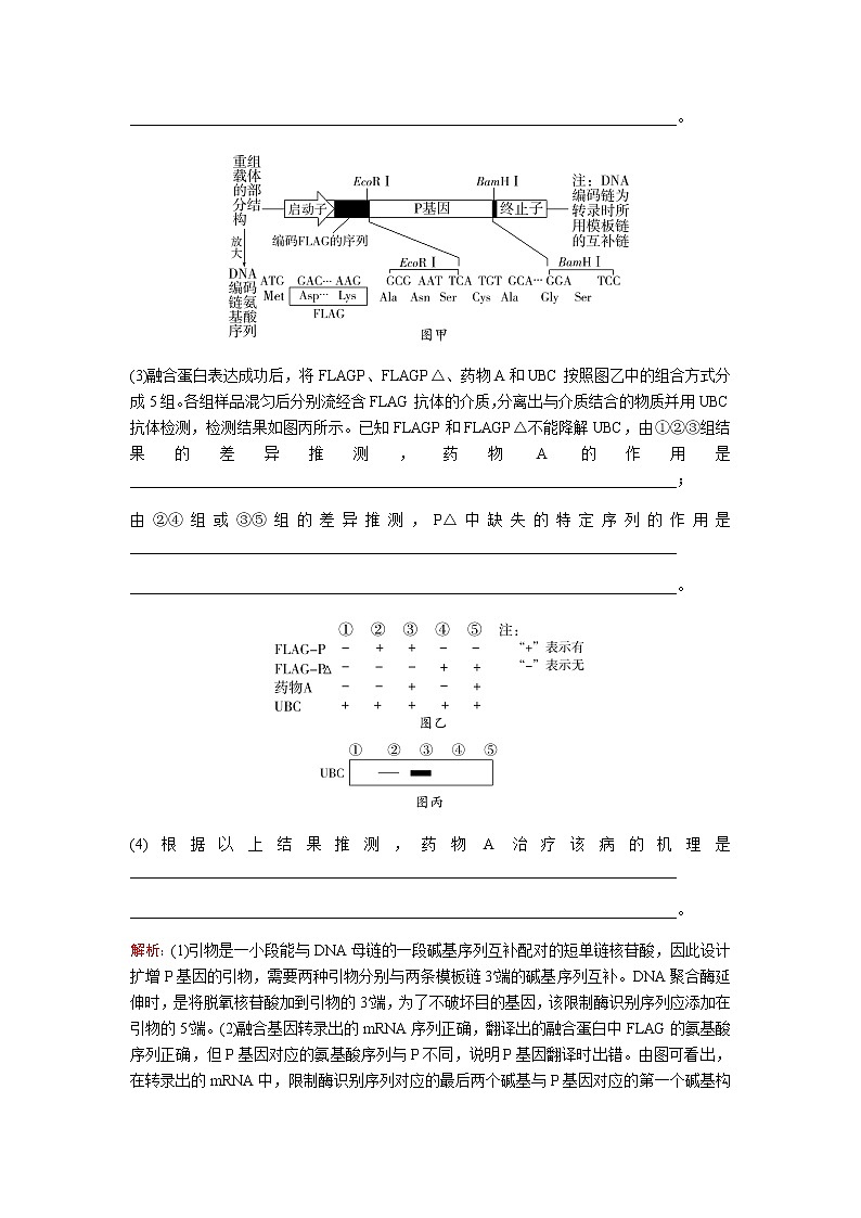 2023届高考生物二轮复习高考命题热点六基因的多维度命题学案第2页