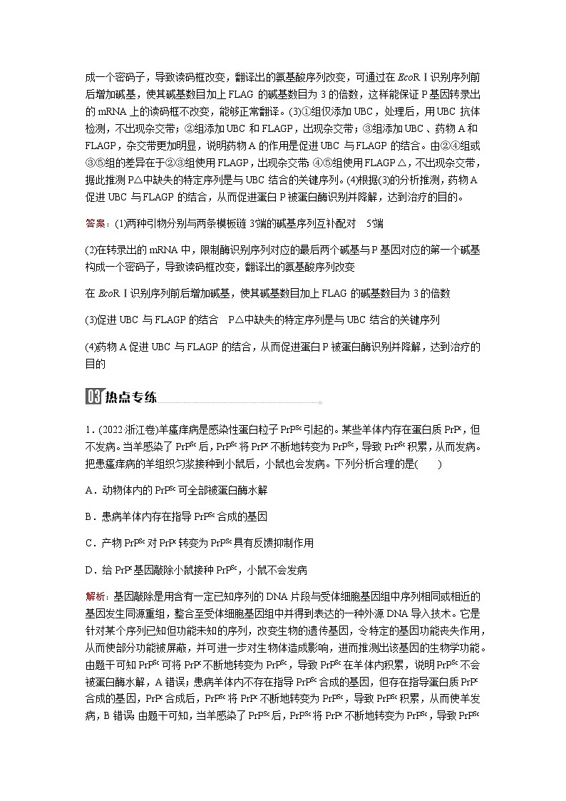 2023届高考生物二轮复习高考命题热点六基因的多维度命题学案第3页