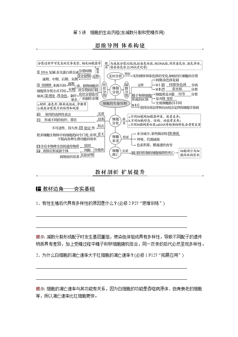 2023届高考生物二轮复习细胞的生命历程(含减数分裂和受精作用)学案第1页
