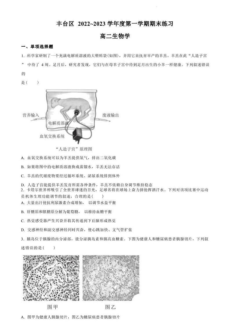 北京市丰台区 2022—2023 学年度高二第一学期期末生物试题及答案01