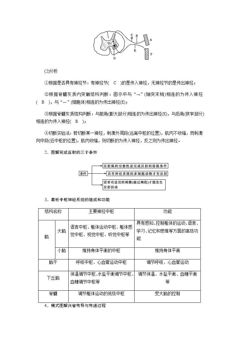 2023届高考生物二轮复习神经系统调节与体液调节学案第2页