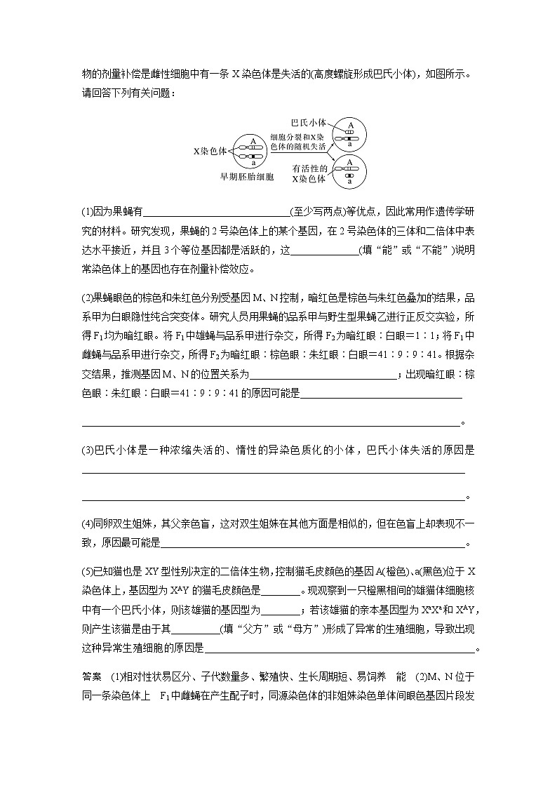 2023届高考生物二轮复习专项三简答题规范练(二)遗传变异作业含答案第3页