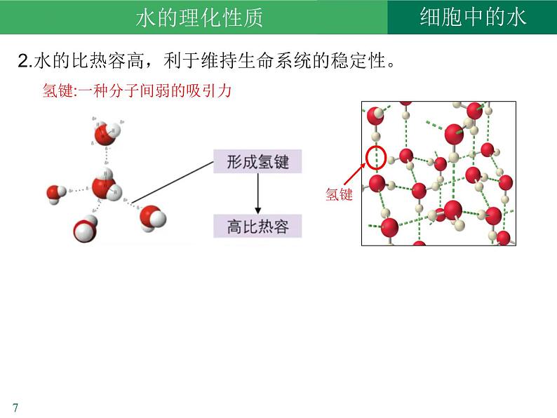 2.2 细胞中的无机物课件2022-2023学年高一上学期生物人教版必修1第7页