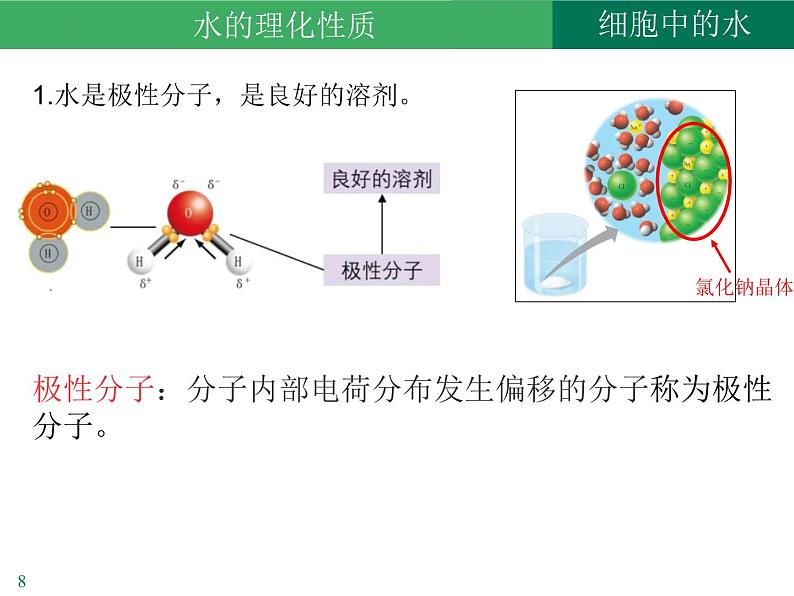 2.2 细胞中的无机物课件2022-2023学年高一上学期生物人教版必修1第8页
