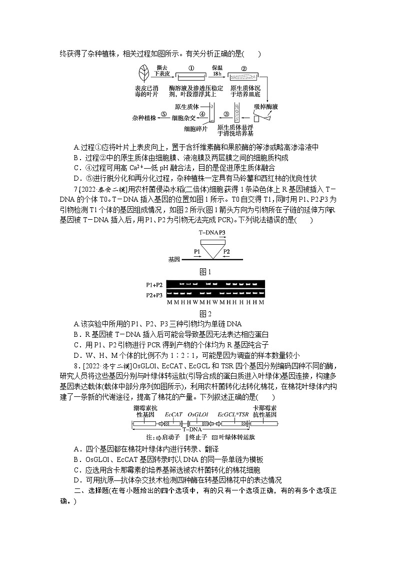 2023届高考生物二轮复习高效快速练生物技术与工程作业(不定项)含答案03