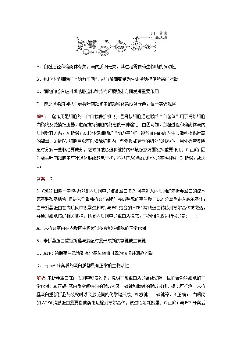 2023届高考生物二轮复习细胞的基本结构和物质运输作业含答案02