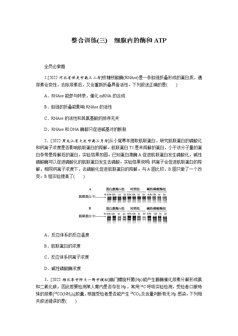 2023届高考生物二轮复习细胞内的酶和ATP作业(不定项)含答案第1页