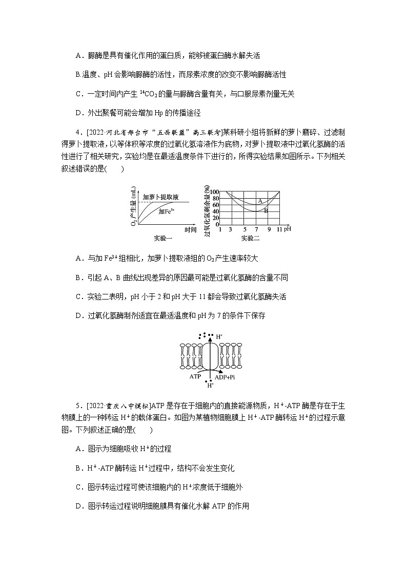 2023届高考生物二轮复习细胞内的酶和ATP作业(不定项)含答案第2页