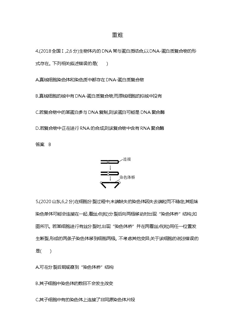2023届高考生物二轮复习细胞的增殖作业含答案第3页