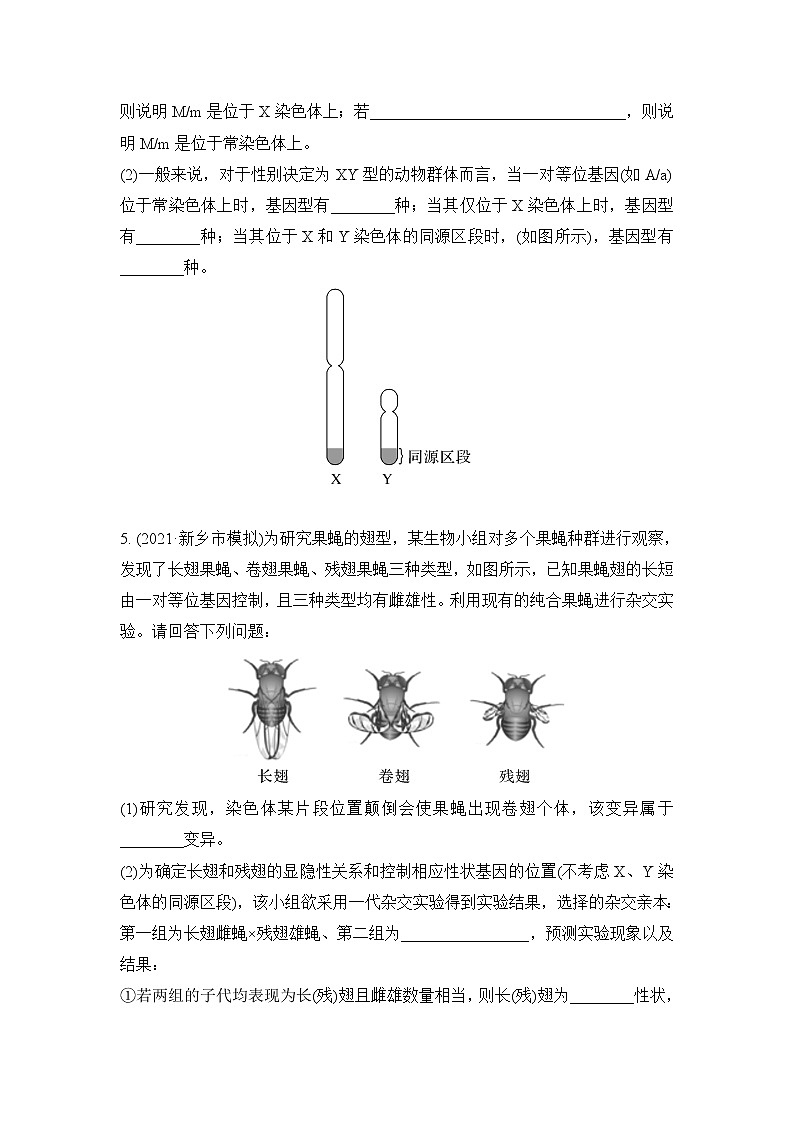 2023届高考生物二轮复习基因定位的遗传实验设计作业含答案第3页